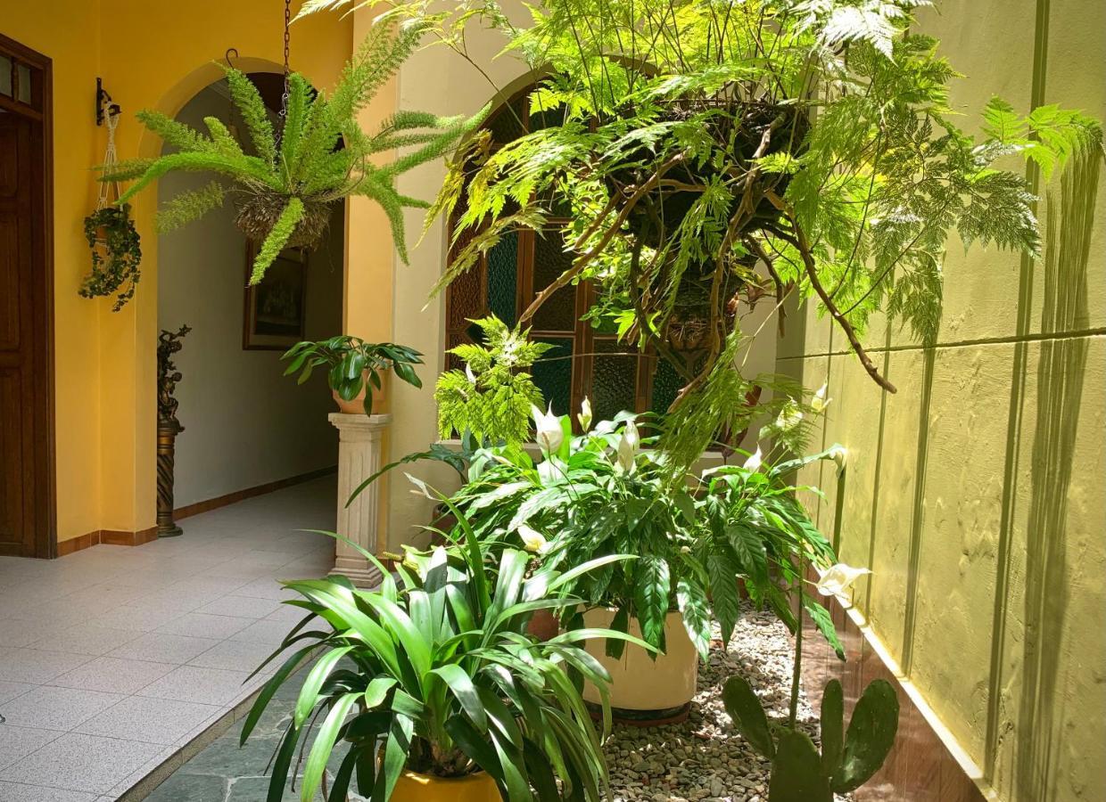 Casa Grande Apartment Medellin Exterior photo